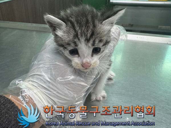 종료(자연사) 한국…