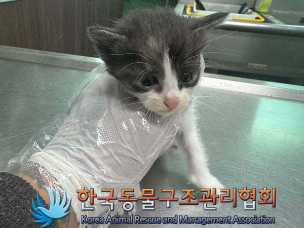 종료(자연사) 한국…