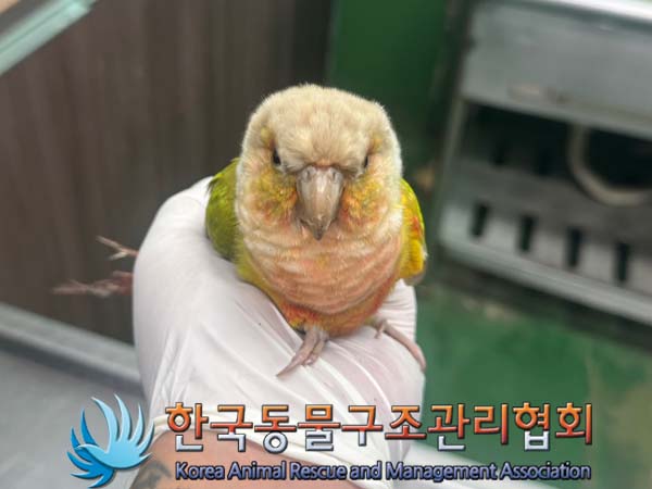 한국동물구조관리협회_411310202400572