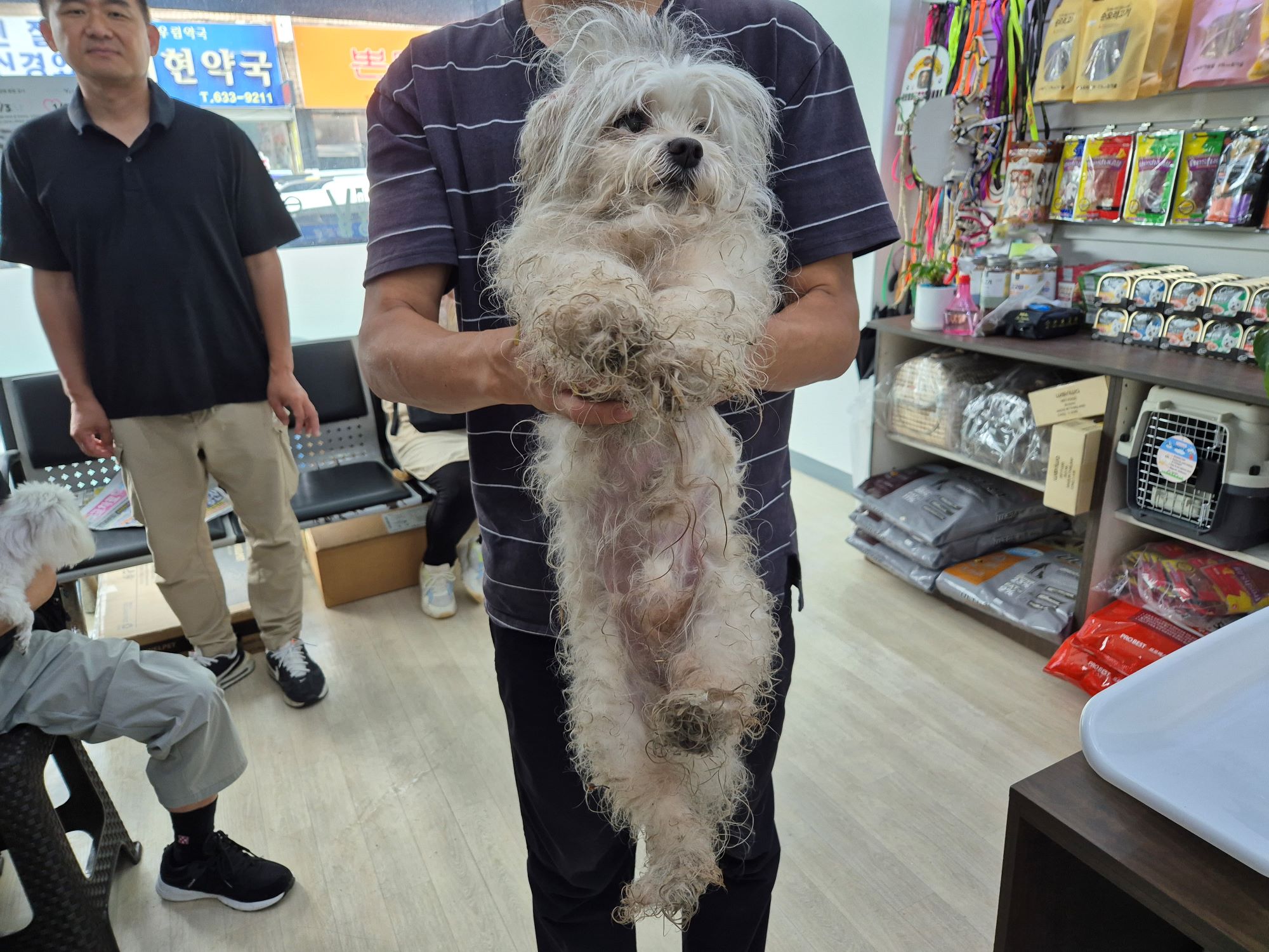 하나동물병원_445470202400840