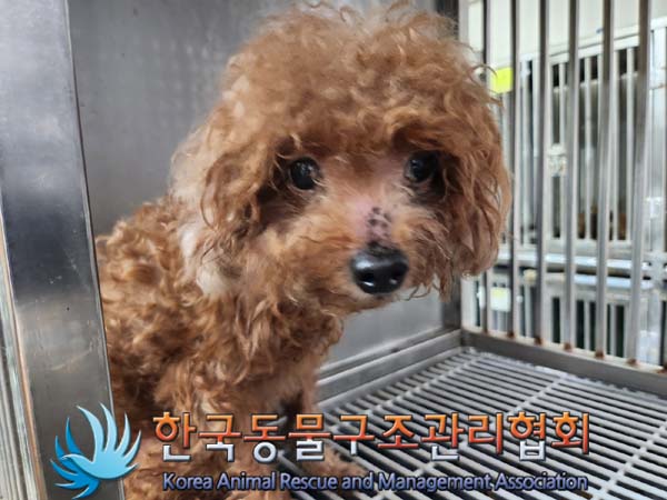 한국동물구조관리협회_411310202400570
