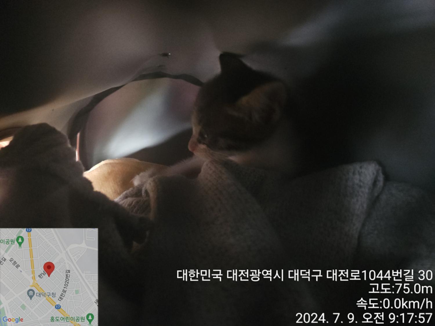 대전동물보호센터_430368202400314