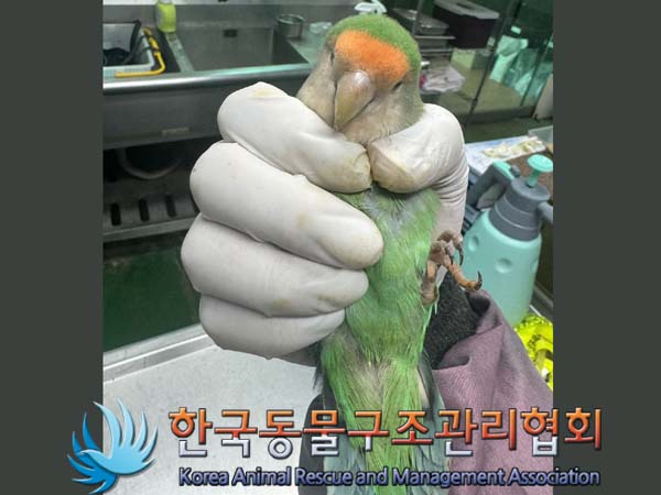 한국동물구조관리협회_411315202400369