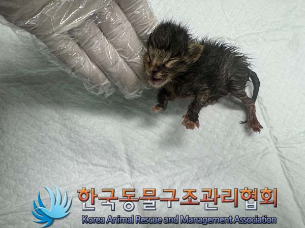 종료(자연사) 한국…