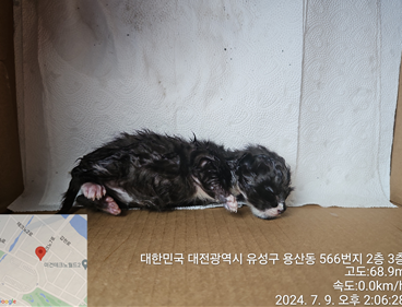 대전동물보호센터_430367202400480