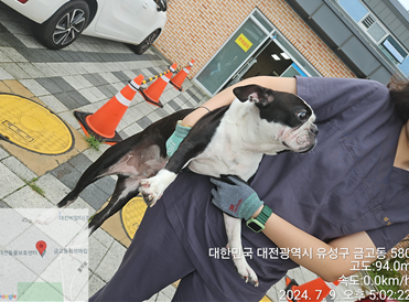 종료(반환) 보스턴…