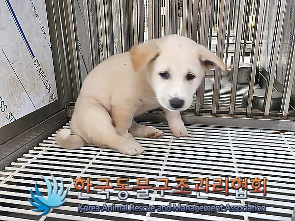 한국동물구조관리협회_441414202400498