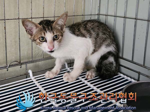 한국동물구조관리협회_441414202400501