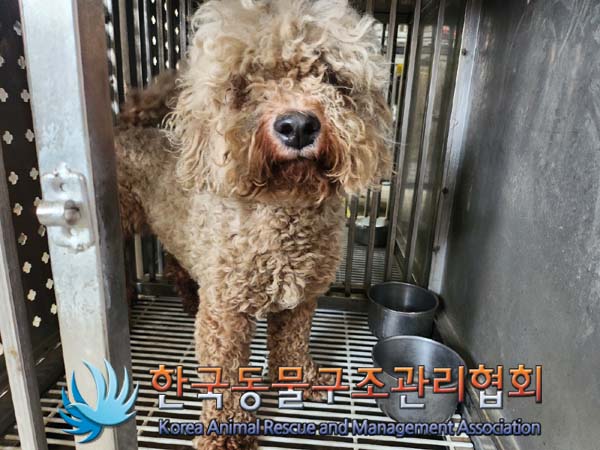 한국동물구조관리협회_441559202400825