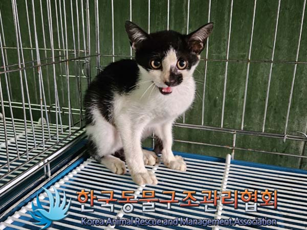 한국동물구조관리협회_441414202400502