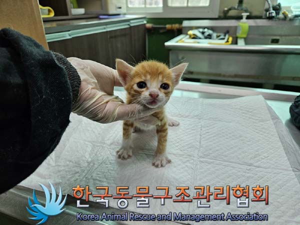 종료(자연사) 한국…