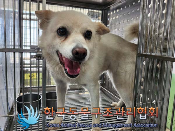 한국동물구조관리협회_411306202400583