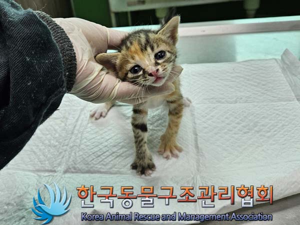 종료(자연사) 한국…