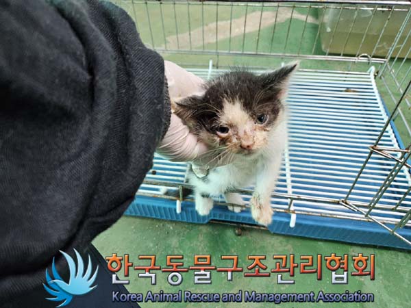 종료(자연사) 한국…