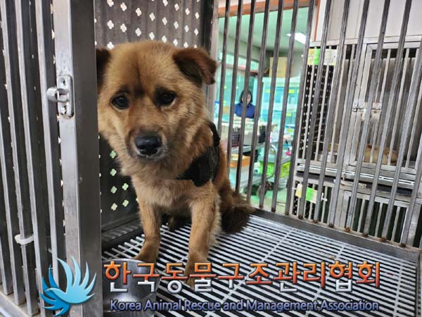 한국동물구조관리협회_411316202400376