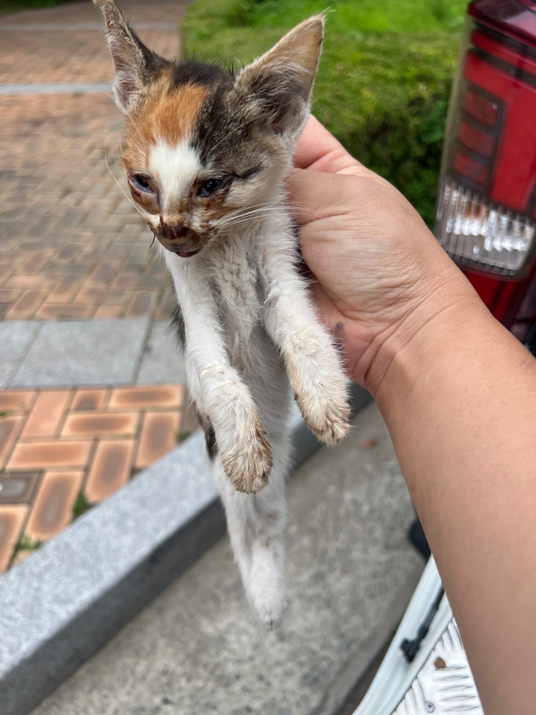 부산동물보호센터_426326202400344