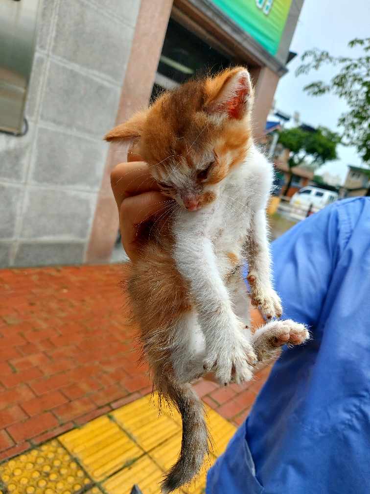 제일동물병원_444455202400425