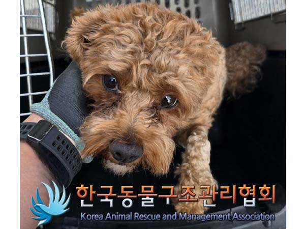 한국동물구조관리협회_441392202400210