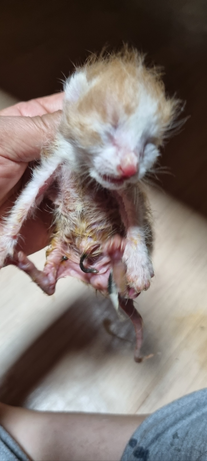 울산유기동물보호센터_431369202400391