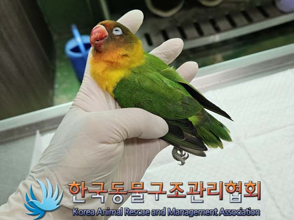 한국동물구조관리협회_411305202400437