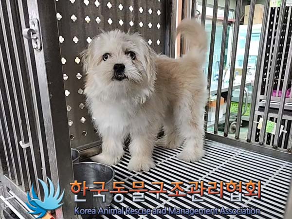한국동물구조관리협회_411309202400233