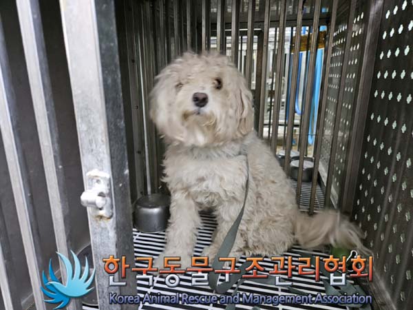 한국동물구조관리협회_441409202401070