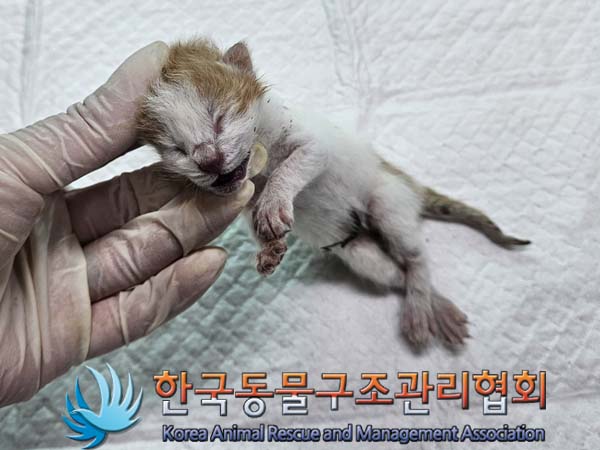 종료(자연사) 한국…