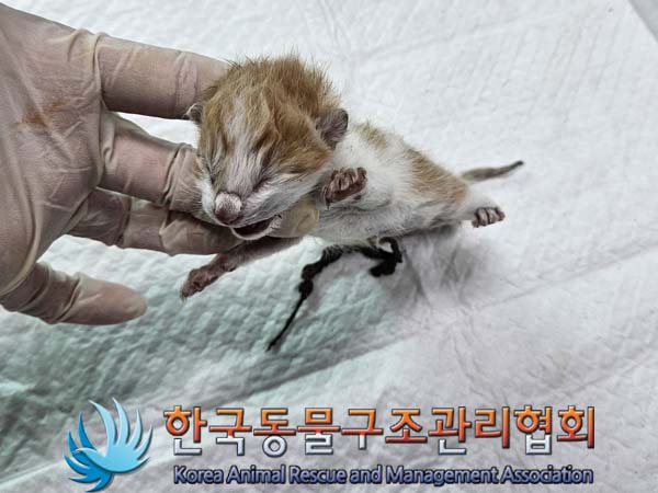 종료(자연사) 한국…