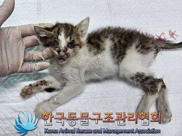 종료(자연사) 한국…