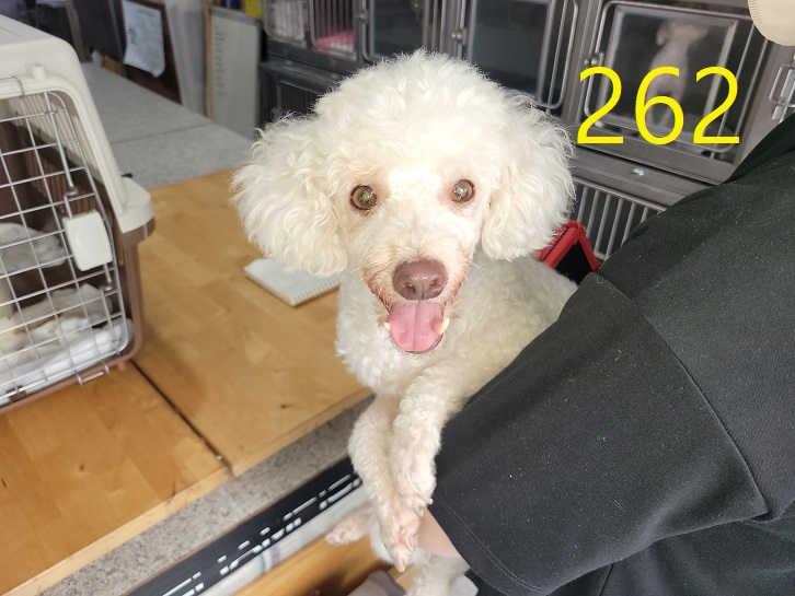 신영재동물병원_428355202400458