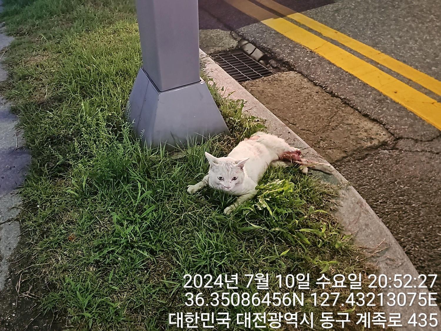 종료(자연사) 한국…