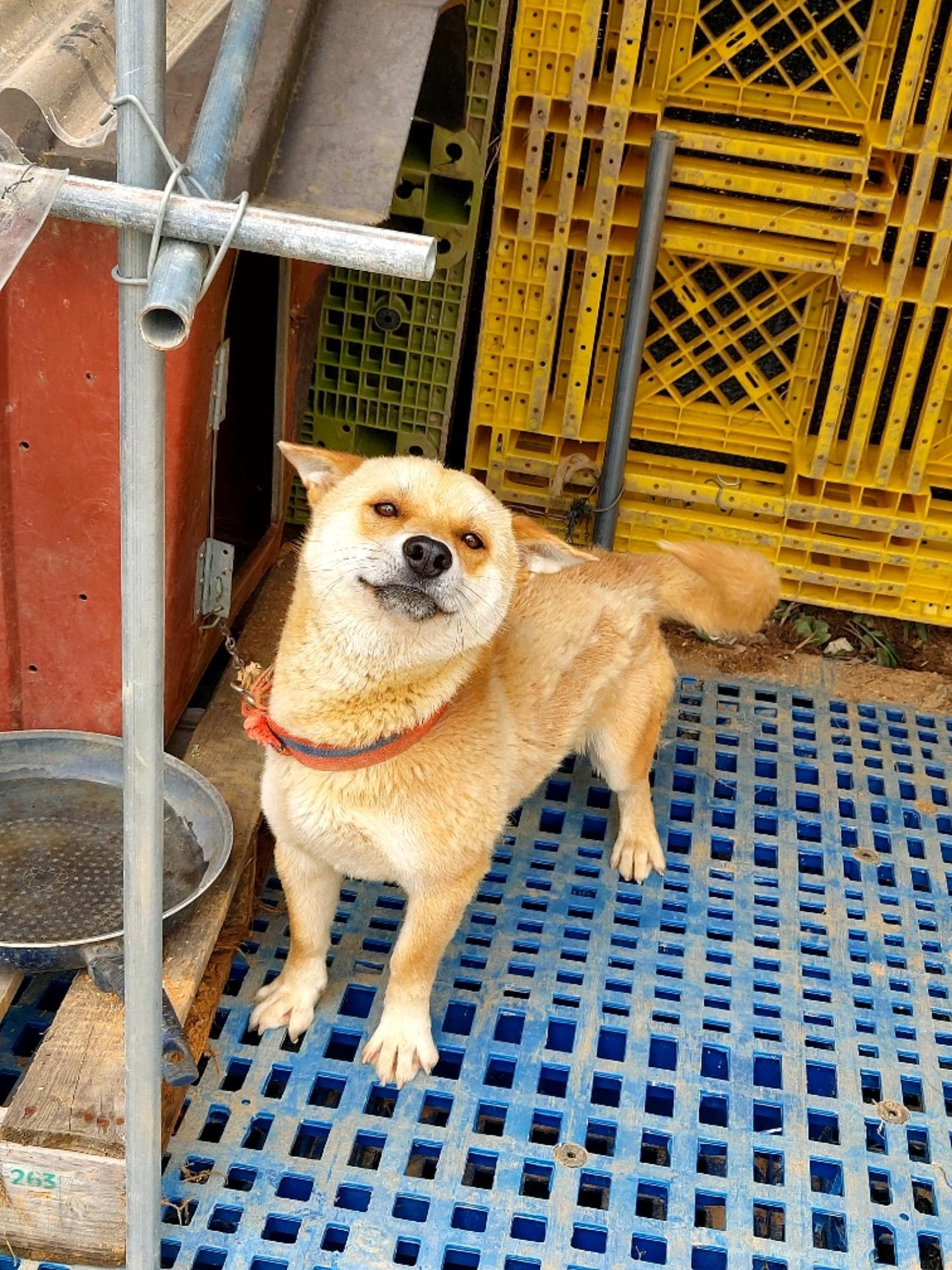 제일동물병원_444455202400427