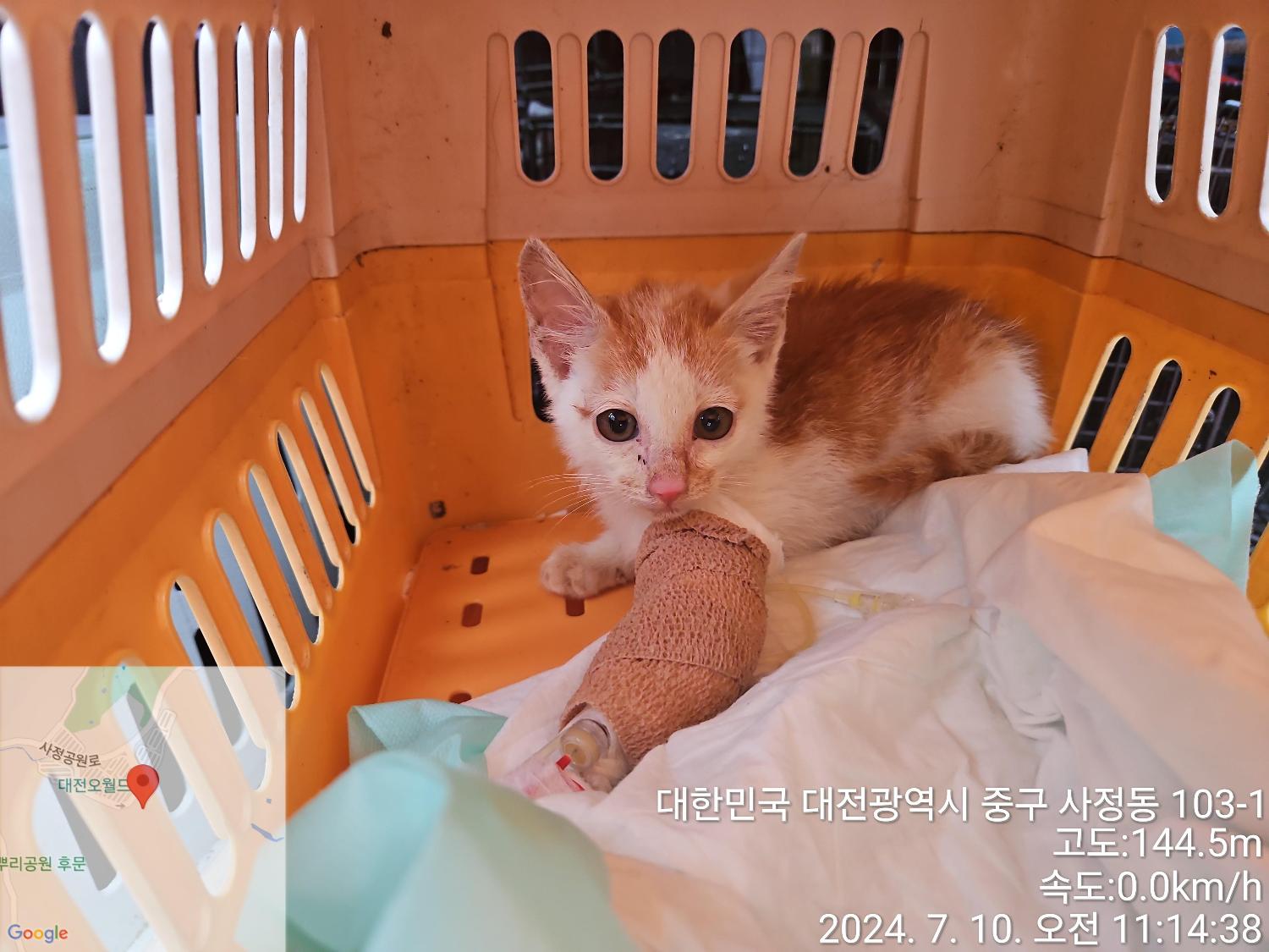 종료(자연사) 한국…