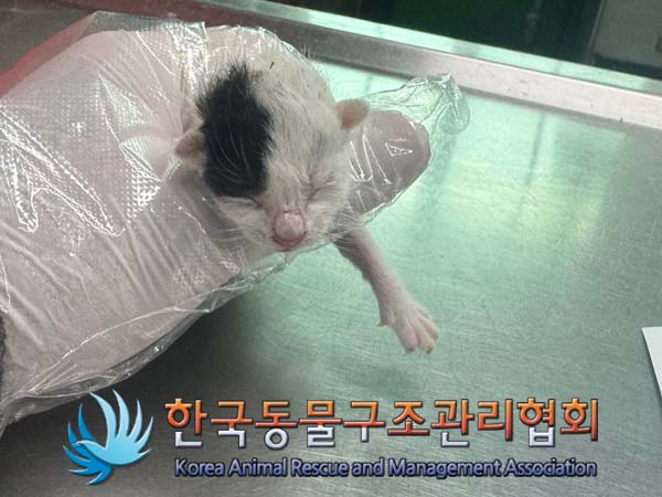 종료(자연사) 한국…