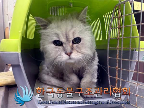 종료(반환) 페르시…