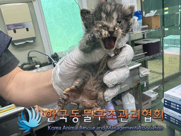 한국동물구조관리협회_411315202400374