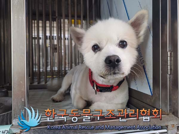 한국동물구조관리협회_441398202400270