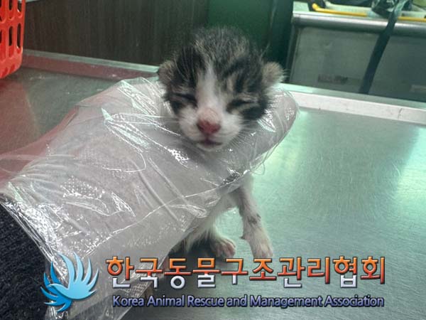 종료(자연사) 한국…