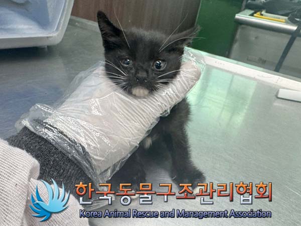 한국동물구조관리협회_411300202400321