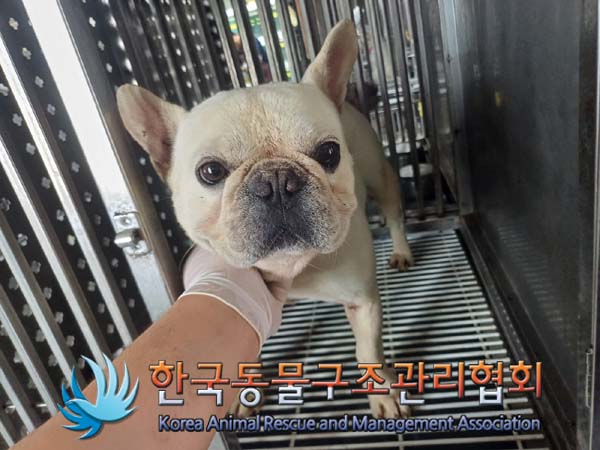 한국동물구조관리협회_441406202401246
