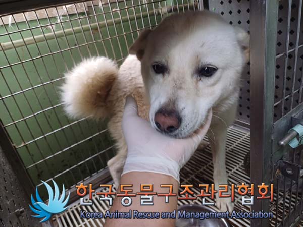 한국동물구조관리협회_441392202400216