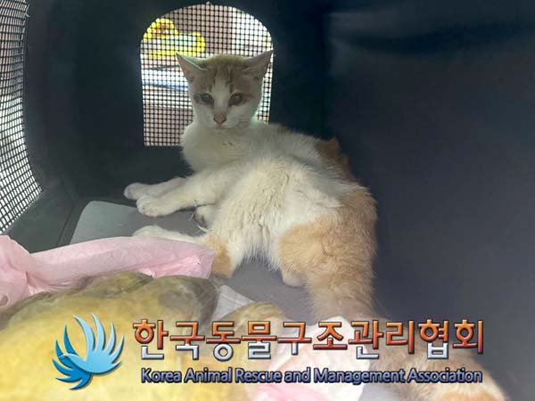 종료(자연사) 한국…