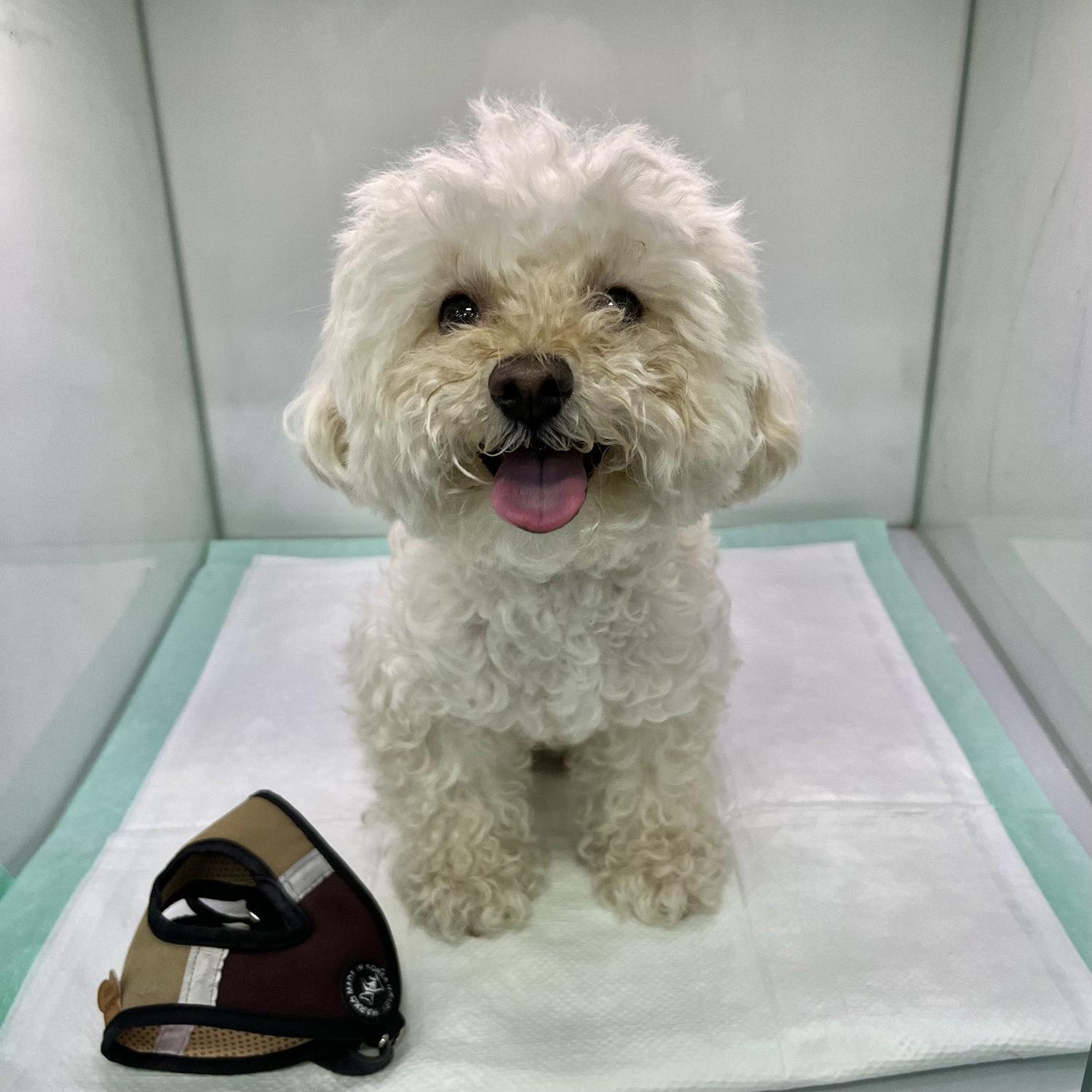 24시아이동물메디컬_441386202401023
