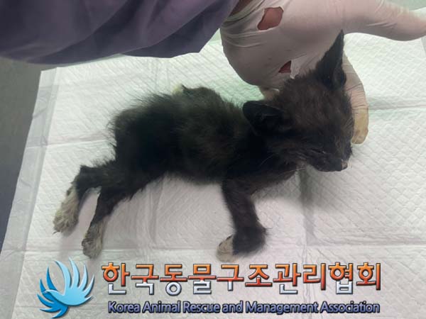 종료(자연사) 한국…