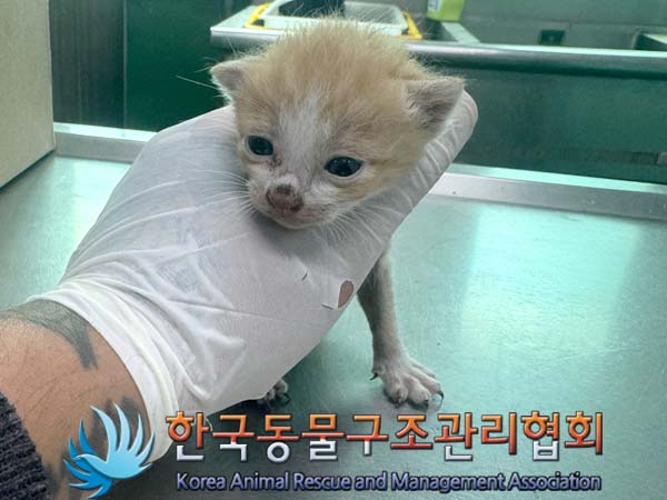 한국동물구조관리협회_441560202400744
