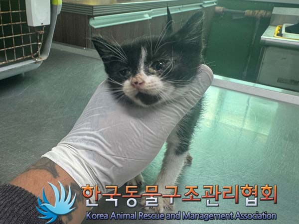 종료(자연사) 한국…