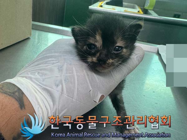 한국동물구조관리협회_441560202400747