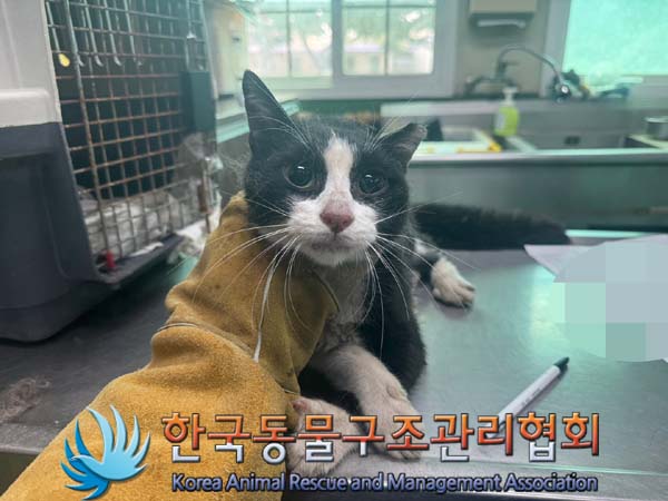 한국동물구조관리협회_411317202400236