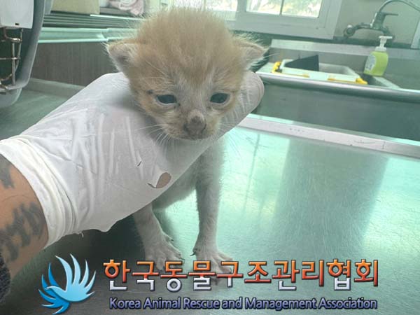 종료(자연사) 한국…