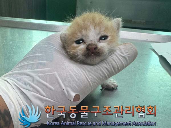 종료(자연사) 한국…